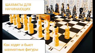 Шахматы для начинающих. Вводное занятие (ч. 2): как ходят и бьют шахматные фигуры.