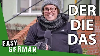 Der, Die, Das - More Than Just Articles | Super Easy German (158)