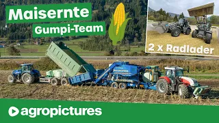 Gumpi Team in der Maisernte 2021 | Maisballen pressen mit Göweil Vario Master und Steyr Traktoren