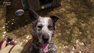 Far Cry 5 Man's Best Friend Story Mission - How to get PET Boomer