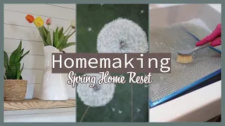 Spring Home Reset | Homemaking Encouragement + Exciting News & Cannel Update!