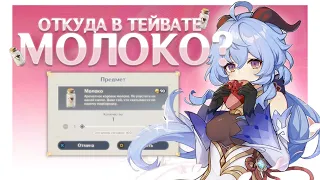 5 ТУПЫХ, но ЛОГИЧНЫХ вопросов по ЛОРу Genshin Impact!