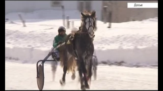 В Барнауле пройдут «Большие бега»