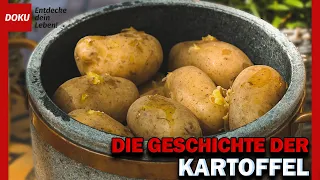 Die Welt der Kartoffel