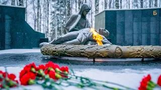 В Югре проведут сотни мероприятий в честь 80-летия Сталинградской битвы