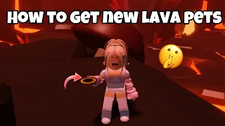 How to get new lava pets in adopt me (Ash zebra bait)