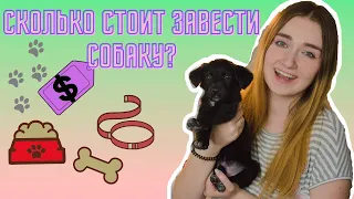 ПЕРВЫЕ ПОКУПКИ ДЛЯ СОБАКИ! ЧТО НУЖНО ДЛЯ ПОЯВЛЕНИЯ ЩЕНКА? СКОЛЬКО ДЕНЕГ УХОДИТ НА СОБАКУ? ЗООПОКУПКИ