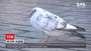 Погода в Україні: найближчим часом синоптики обіцяють відсутність снігу