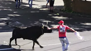 Ganadaria JAF - 4 Puros - Santo Amaro 2022 - Ilha Terceira - Açores