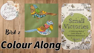 Colour along in Johanna Basford small victories ~ rescuing a disaster!!