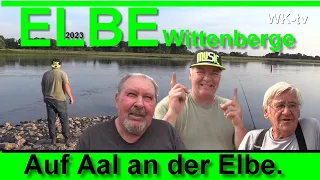 Auf AAL an der ELBE in Wittenberge mit Lothar, Klaus und Siggi - Angelvideos auf Wittstock TV 2023