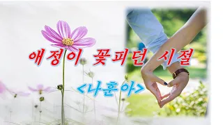 애정이 꽃피던 시절(나훈아)