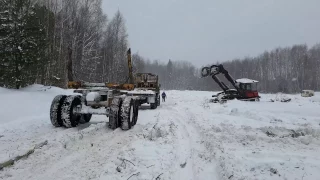 Уралы возят лес в хлыстах! Томская область, 2017 год.