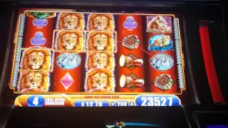 King of Africa bonus win