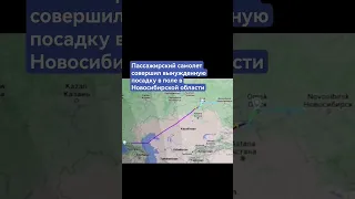 Пассажирский самолет совершил вынужденную посадку в поле в Новосибирской области