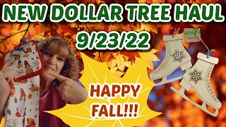 NEW DOLLAR TREE HAUL 9/23/22. LOTS OF NEW FINDS