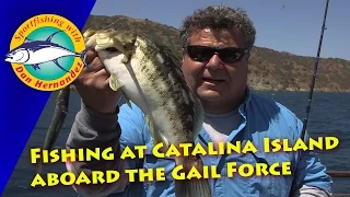 Gail Force - Fishing at Catalina Island | SPORT FISHING