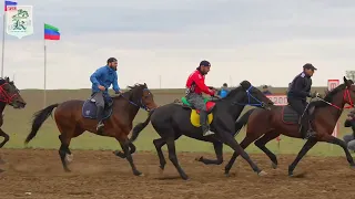 Кунбатар|Скачки Приз 110-е Героя ВОВ Х.Кумукова (Йорга).Дистанция 3200 м.