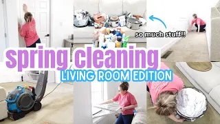 2024 SPRING CLEAN WITH ME : Living Room Edition