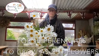 Top Ten Perennials to Grow as Cut Flowers // Stems by Suzanne Cut Flower Farm 🌸