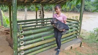 Technique Build Pig House With Concrete Floor And Bamboo, Raise Pigs | Free Bushcraft, Ep126