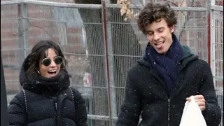 Camila Cabello & Shawn Mendes via TikTok 🥺