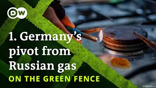 Energy crisis: How Germany is coping without Russian gas - On the Green Fence