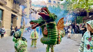 Despertada dels DRACS, Cercavila dels DRACS i Balladeta Final (Diada de Sant Jordi 2024)