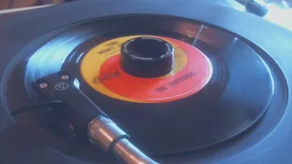 The Outsiders - Time Won't Let Me - 1966 - 45 rpm