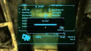 Let's Play Fallout 3 #343