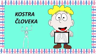 Kostra človeka | maminask :)