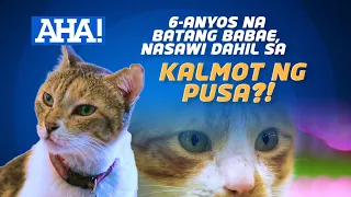 6-anyos na batang babae, nasawi dahil sa kalmot ng pusa?! | AHA!