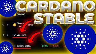 CARDANO СТЕЙБЛКОИН ДАТА ВЫПУСКА! XRP/ADA СТЕЙБЛЫ! ВОТ ЧТО ЖДЕТ ADA УЖЕ СКОРО! USDA НА ПОДХОДЕ!