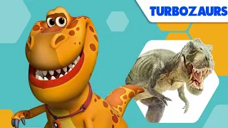 Turbozaurs - Big Chuck, Big City 🦖 🌆 (Episode 20) 🦖 Cartoon for kids Kedoo Toons TV