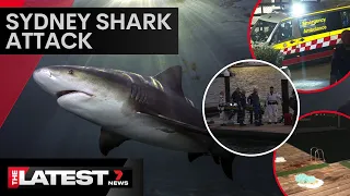 Woman mauled by shark in Sydney Harbour | 7 News Australia