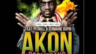 DJ Felli Fel feat. Pitbull & Akon -- Boomerang