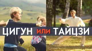 Чем отличаются Цигун и Тайцзицюань