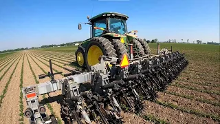 Hiniker 6000 Cultivating Organic Soybeans