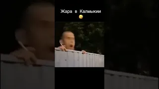 Согласны?) #калмыкия