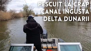 Pescuit la crap primavara pe canalul Ingusta, Crisan, Delta Dunarii