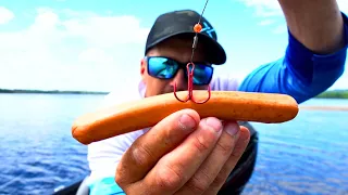 Fishing Massive Northern Pike With Hot Dogs