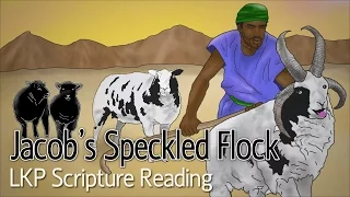 LKP Scripture Reading: Jacob's Speckled Flock