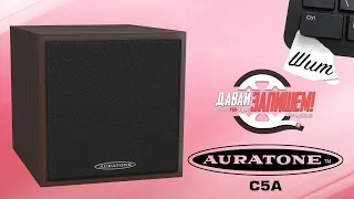 [Eng Sub] AURATONE C5A studio monitors. Shit-control briefly