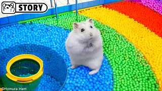 🐹 Hamster Escapes the Ball Pool Maze 🐹 Homura Ham