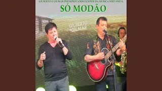 Menino da Gaita (Ao Vivo)