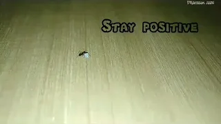 Stay positive / (small) short film