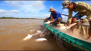Phát Hiện Nơi Trú Ngụ Của Bầy Cá , Niềm Vui Của Ngư Dân Ngày Trúng Mẻ Lưới To | #66TV #fishing