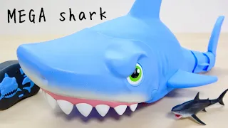 Spinning shark! MEGA CHOMP RC SHARK