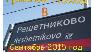 ГРИБНОЙ ПОХОД "РЕШЕТНИКОВО" Сентябрь 2015 г