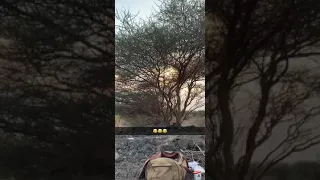 رمي شوزن  بيريتا Beretta Upland 😂😂